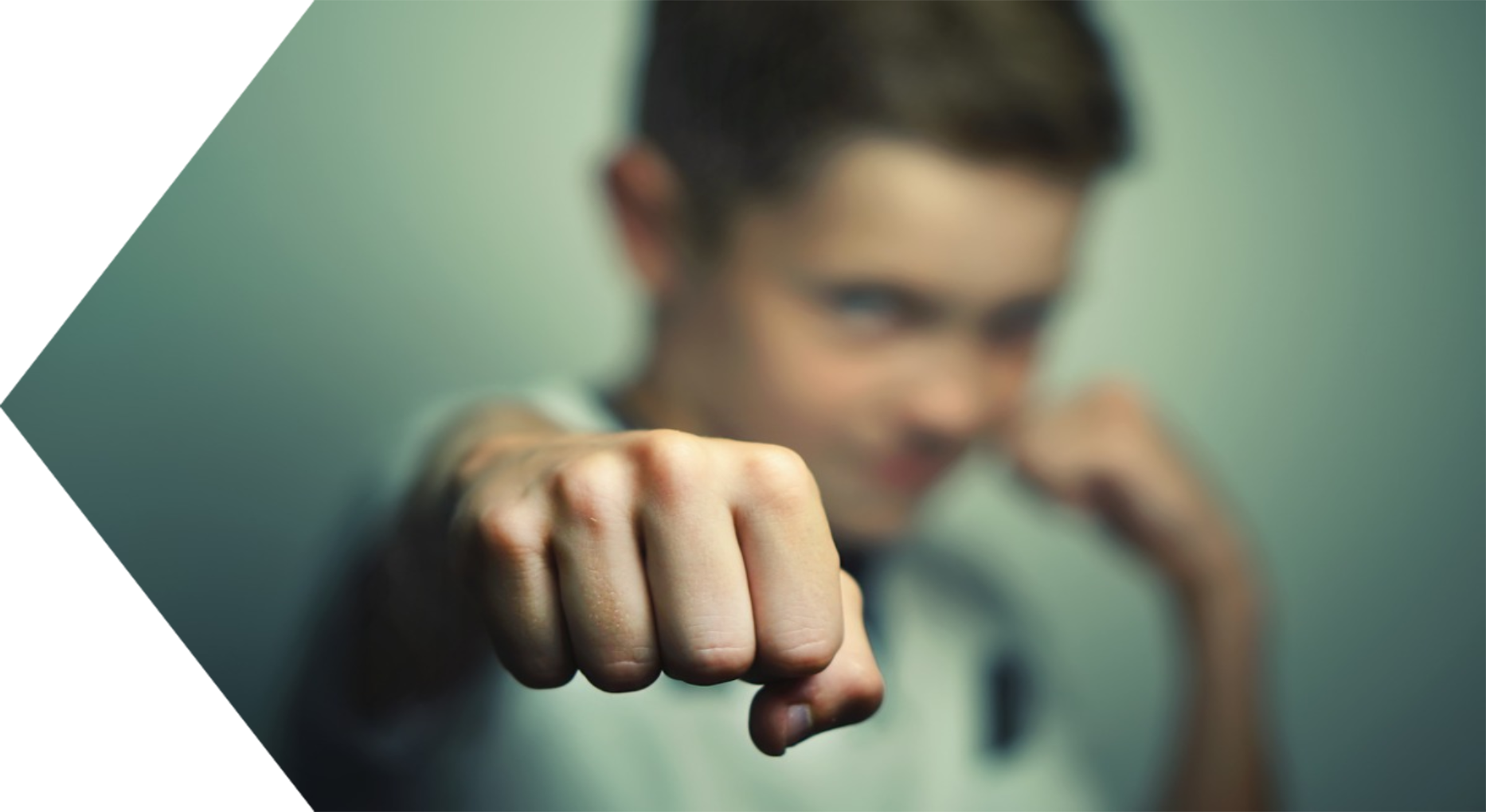 Trening kontroli złości, Amity ART, TZA, Trening zastępowania agresji